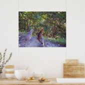 Abyssijnse katten op loopbrug poster (Keuken)
