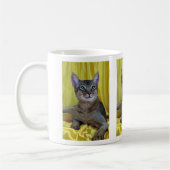 Abyssiniaal, normaal koffiemok (Links)