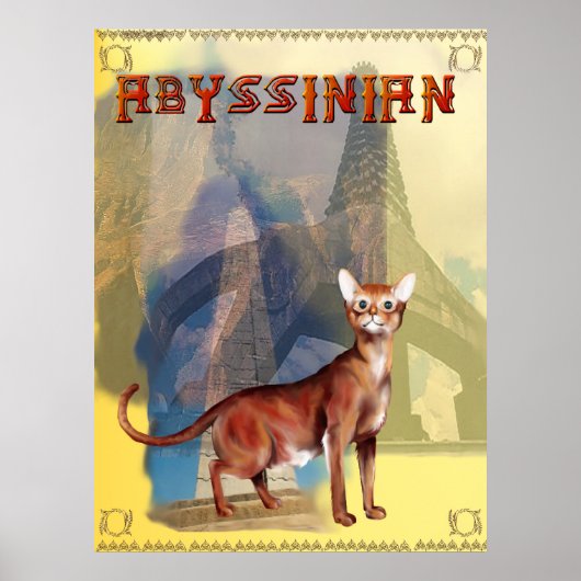 Abyssiniaans Poster (Voorkant)