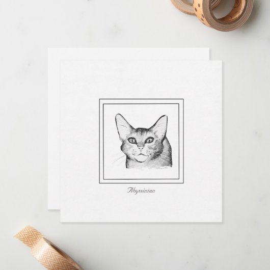 Abyssiniaanse kaart voor kattentrekflat notitiekaartje (Voorkant / Achterkant in situ)