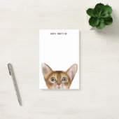 Abyssiniaanse kat | bewerkbare tekst | Hier is wat Post-it® Notes (Kantoor)