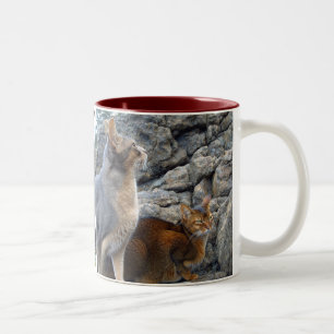 Abyssiniaanse kattenbroeder en zuster tweekleurige koffiemok