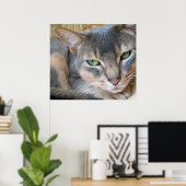 Abyssinian Cat Big Blue Green Eyes Poster (Thuiskantoor)