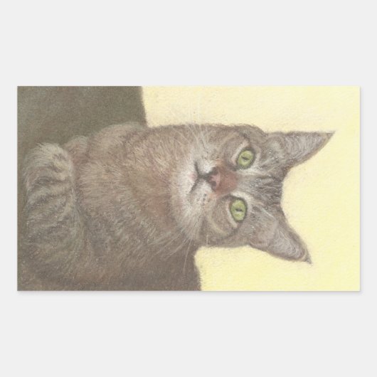 Abyssinian Cat Rechthoekige Sticker (Voorkant)