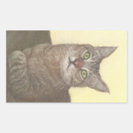 Abyssinian Cat Rechthoekige Sticker