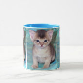 Abyssinian Kitten Mugs (Centre)