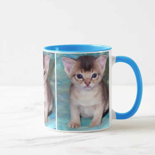 Abyssinian Kitten Mugs (Droite)