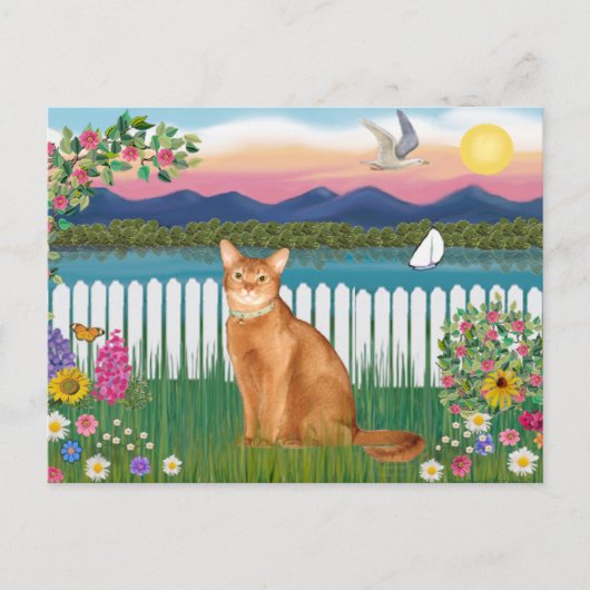 Abyssinian (rood 18) - Garden-Shore Briefkaart (Voorkant)