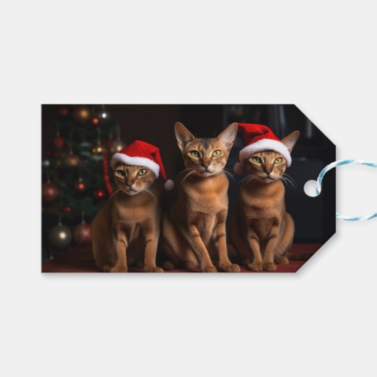 Abyssinien bij de open haard Kerstmis Cadeaulabel (Voorkant (Horizontaal))