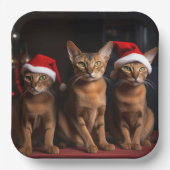 Abyssinien bij de open haard Kerstmis Papieren Bordje (Voorkant)