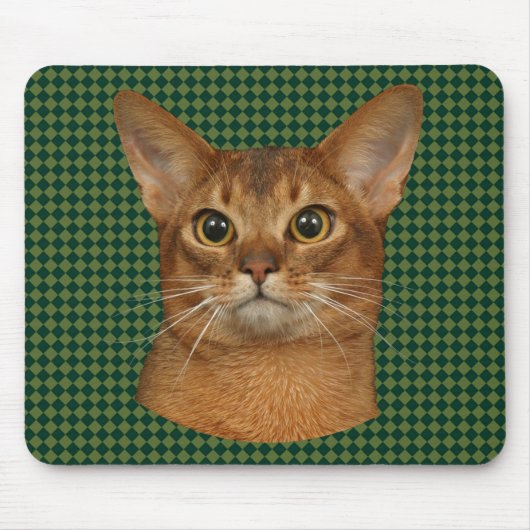 abyssinische kat muismat (Voorkant)