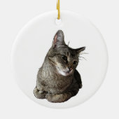 Abyssinische kat rond Ornament (Achterkant)