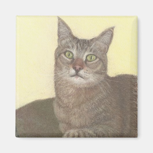 Abyssinische kattenmagneet magneet (Voorkant)