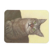 Abyssinische kattenmagneet magneet (Horizontaal)