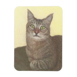 Abyssinische kattenmagneet magneet