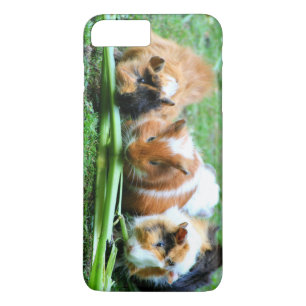 Abyssische guinese iPhone 8 plus / 7 plus hoesje
