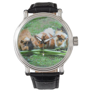 Abyssische guinese horloge