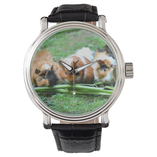 Abyssische guinese horloge (Voorkant)