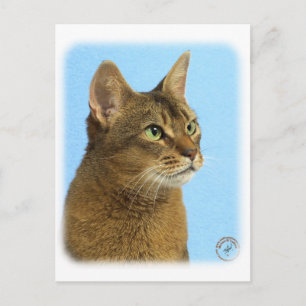 Abyssische kat 9Y009D-032 Briefkaart