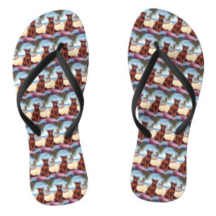 Abyssische kat op strand, zomercadeau voor kattenl teenslippers