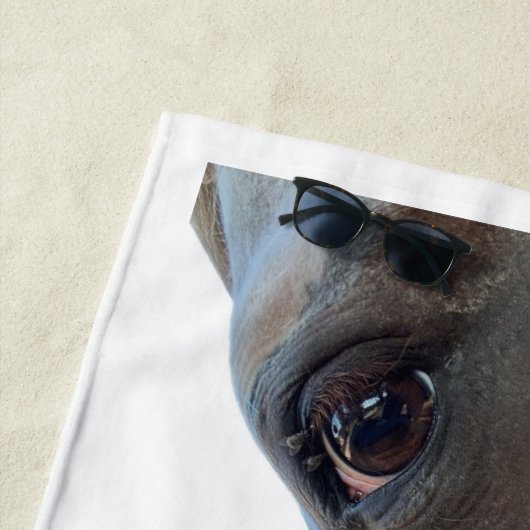 ac ranch serviette de plage (En situation)