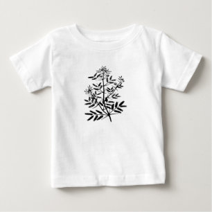 Acacia