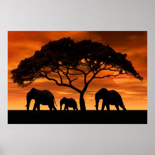 Acacia Elephant Sunset Poster (Voorkant)