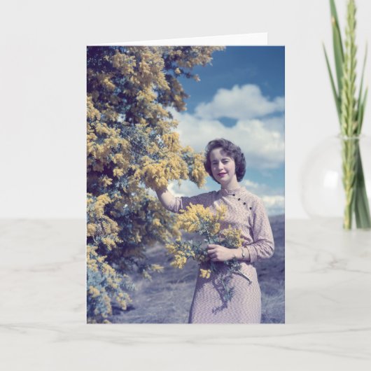 Acacia in retro Canberra - Kaart (Voorkant)