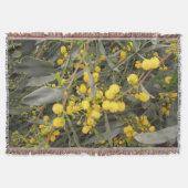 Acacia Jeu de couverture (Devant)