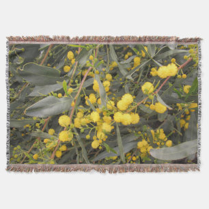 Acacia Jeu de couverture