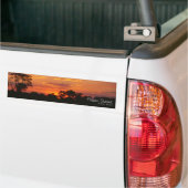 Acacia Sunset Bumpersticker (Op Truck)