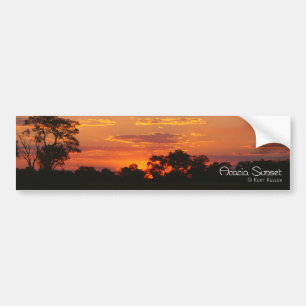 Acacia Sunset Bumpersticker