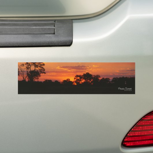 Acacia Sunset Bumperstickers (Op auto)
