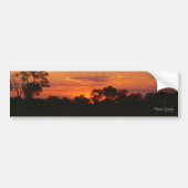 Acacia Sunset Bumperstickers (Voorkant)