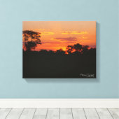 Acacia Sunset Canvas Afdruk (Insitu (Houten vloer))