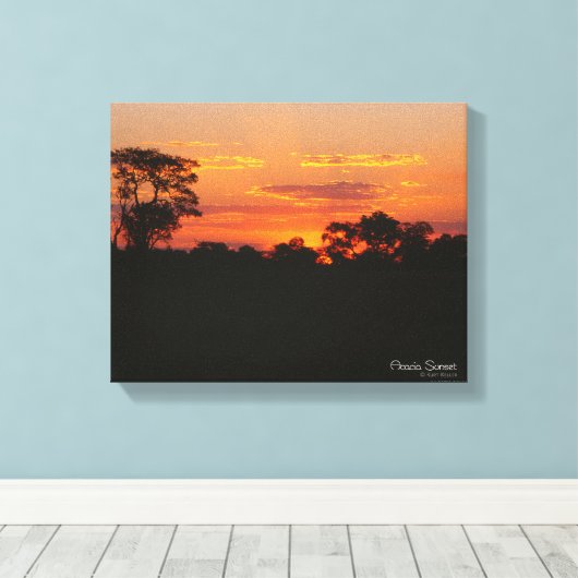 Acacia Sunset Canvas Afdruk (Insitu (Houten vloer))