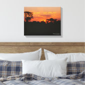 Acacia Sunset Canvas Afdruk (Insitu (Slaapkamer))