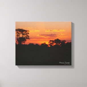 Acacia Sunset Canvas Afdruk