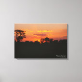 Acacia Sunset Canvas Afdruk (Voorkant)