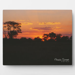 Acacia Sunset Fotoplaat