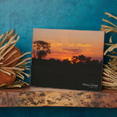 Acacia Sunset Fotoplaat (Zijkant)