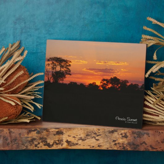 Acacia Sunset Fotoplaat (Zijkant)