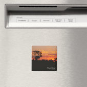 Acacia Sunset Magnet Magneet (Insitu (Vaatwasser))