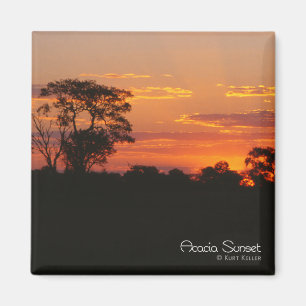 Acacia Sunset Magnet Magneet