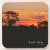 Acacia Sunset Onderzetter (Voorkant)