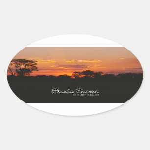 Acacia Sunset Ovale Sticker