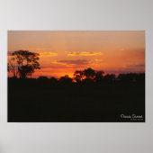Acacia Sunset Print (Voorkant)