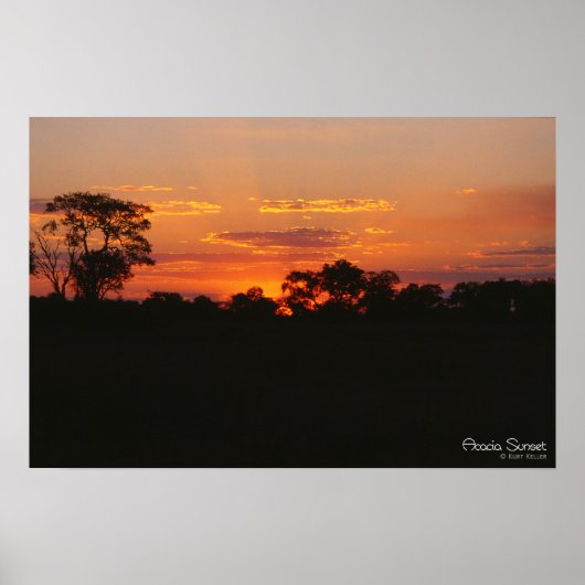 Acacia Sunset Print (Voorkant)
