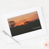 Acacia Sunset Rechthoekige Sticker (Envelop)