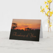Acacia Sunset Thinking of You Kaart (Gele Bloem)